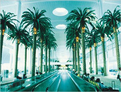Dubai nemzetközi repülőtér. Hány repülőtér Dubaiban van